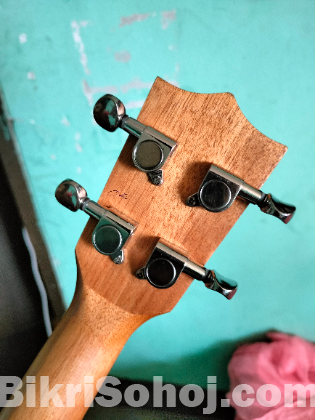 AXE 24' Ukelele